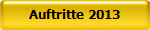 Auftritte 2013